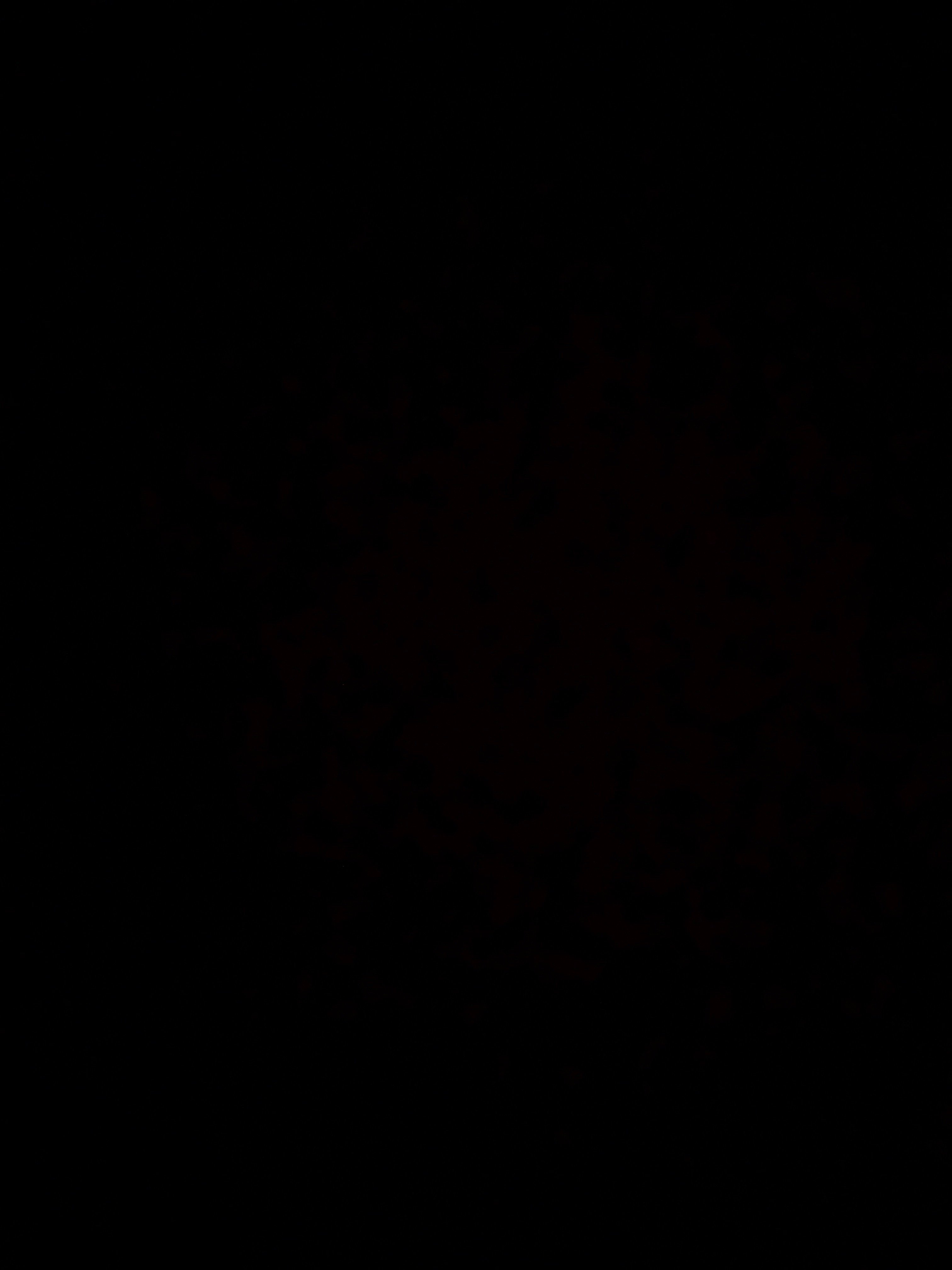 DD LUXZ banner