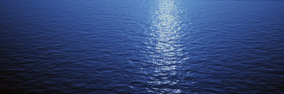 Scott D. Pope banner