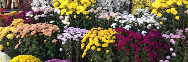 irxground Profile Banner