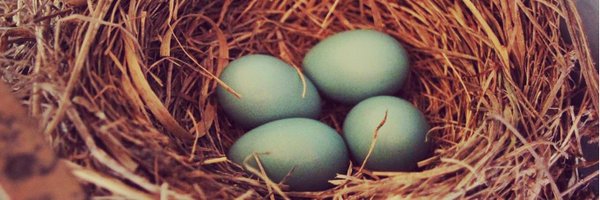 ccarolson Profile Banner