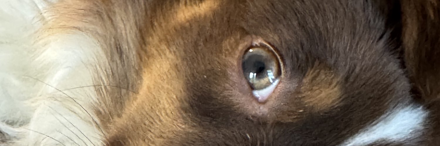 GenerelSpazRule's profile banner image
