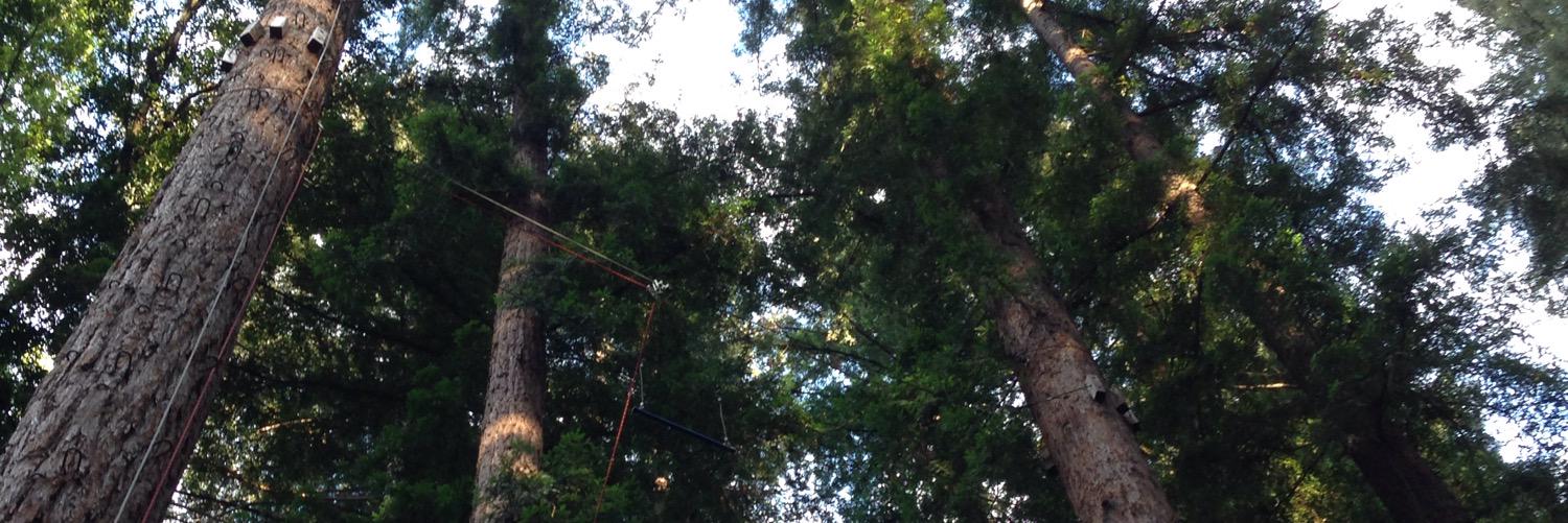 KyleRelph's profile banner image