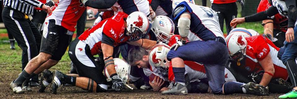 Daemons Martesana banner