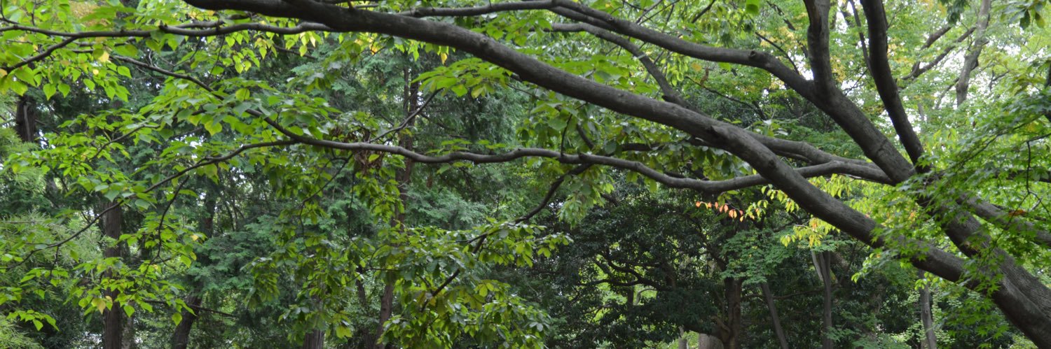 plumproton's profile banner image