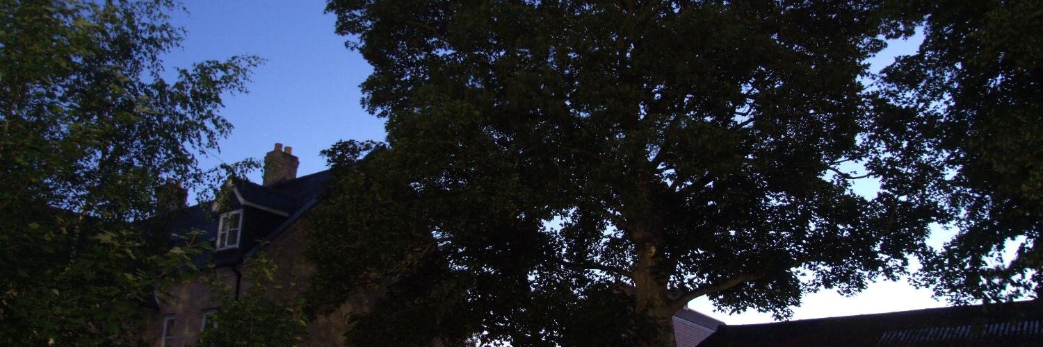 AAAPLEX's profile banner image