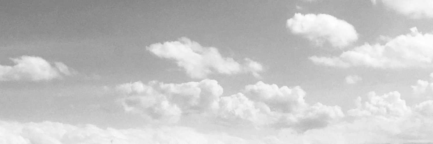 emoconchinos's profile banner image