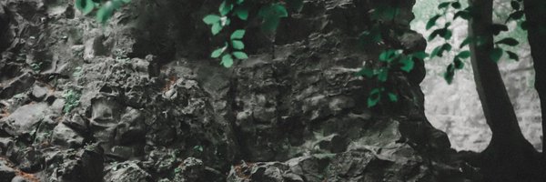 MrFluffyDev Profile Banner