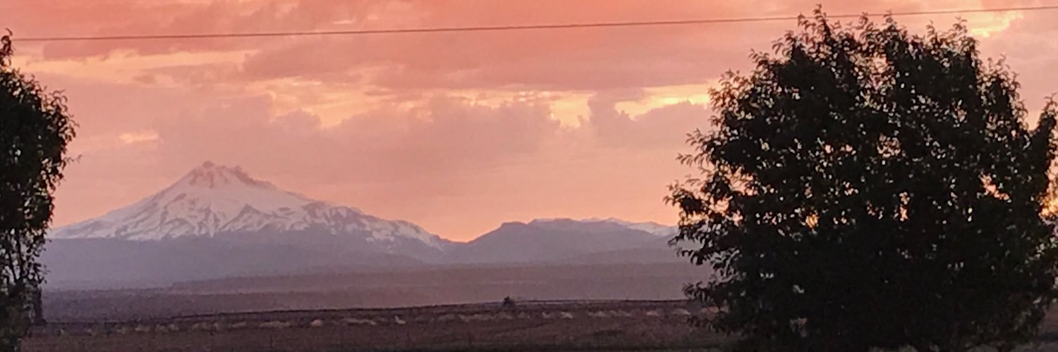 SOOOFine3's profile banner image