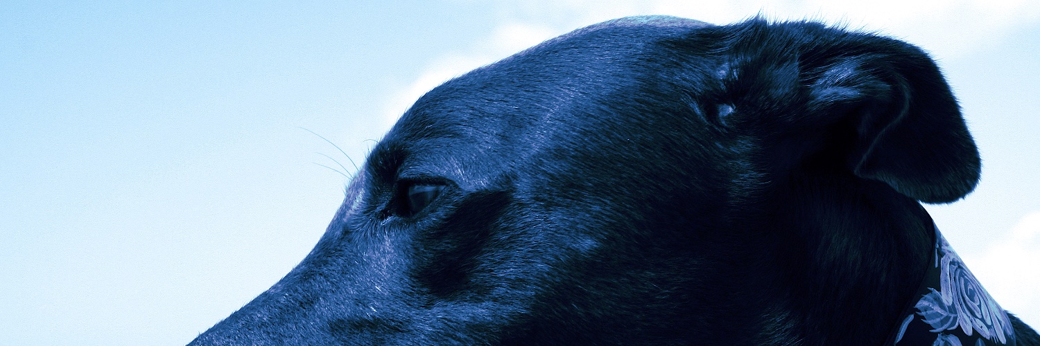 peterheaton1's profile banner image