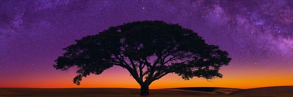 alicat002's profile banner image