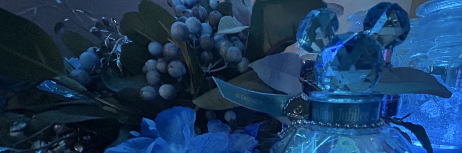 evorim2's profile banner image