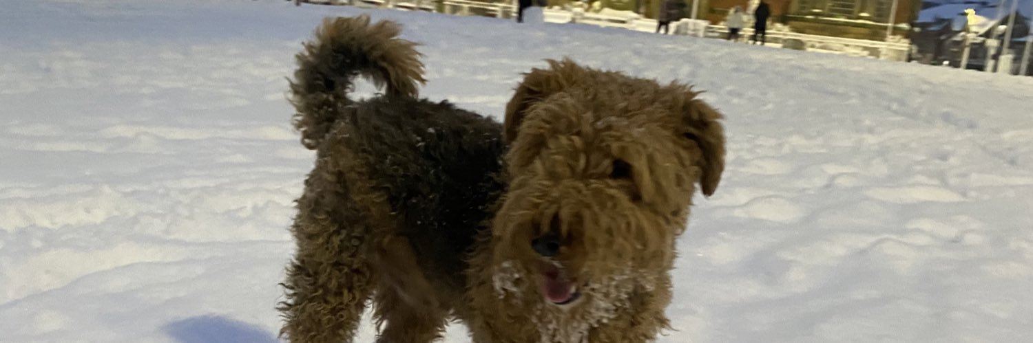 Dawccc's profile banner image