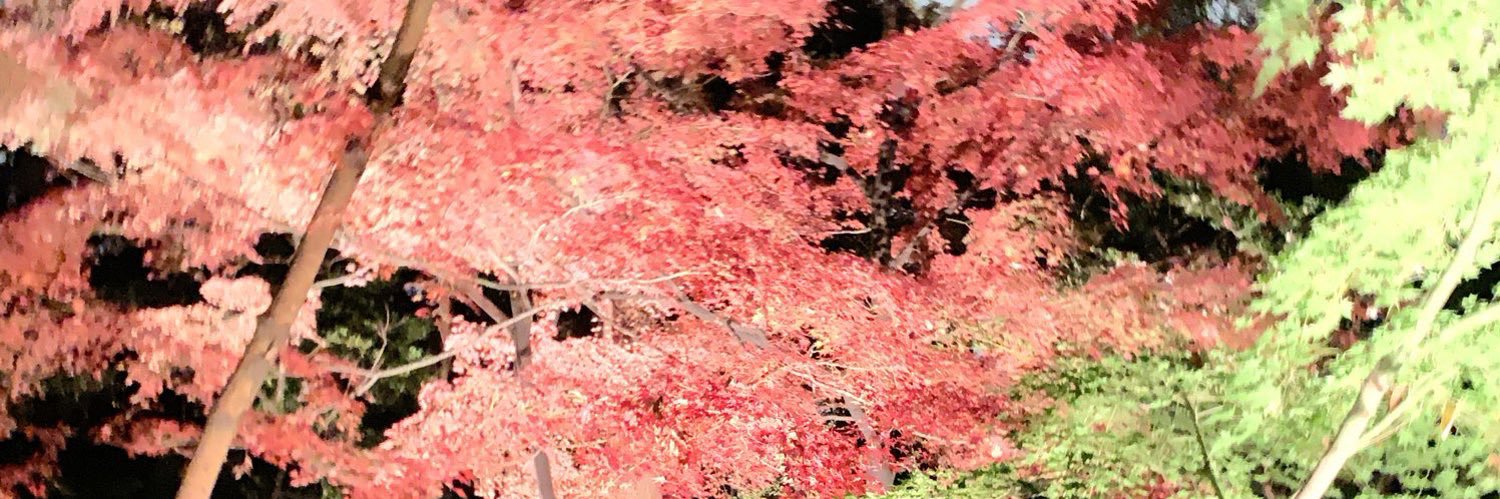 Liiiina13's profile banner image