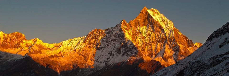 TrekkingTiger's profile banner image
