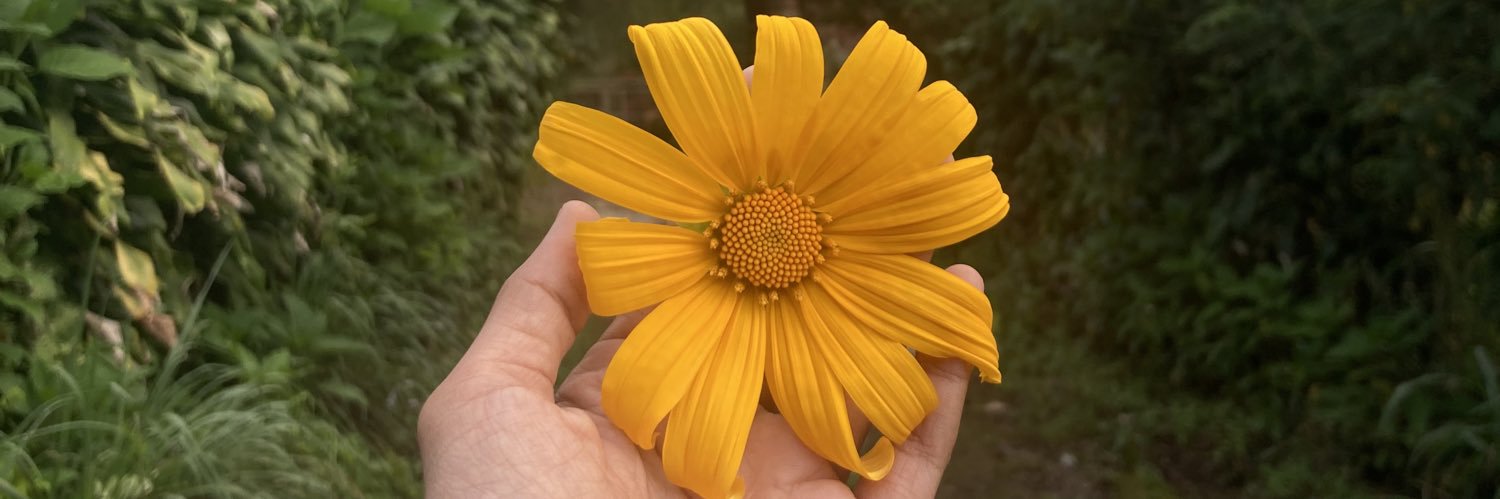febridjohan's profile banner image