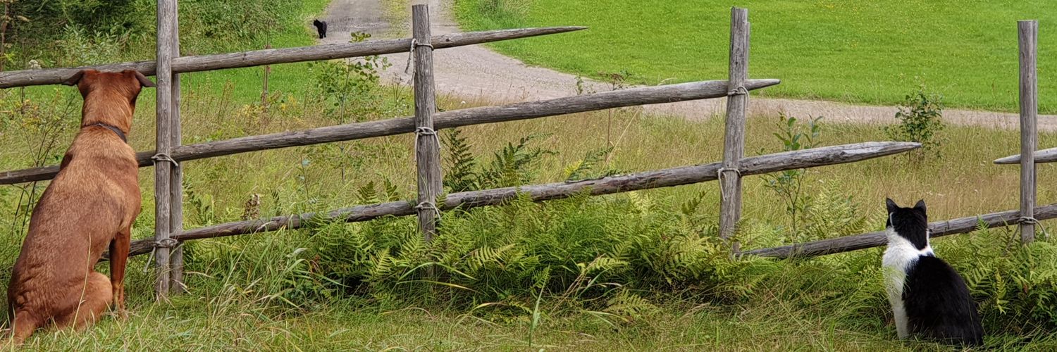 Annemarie den Heijer banner