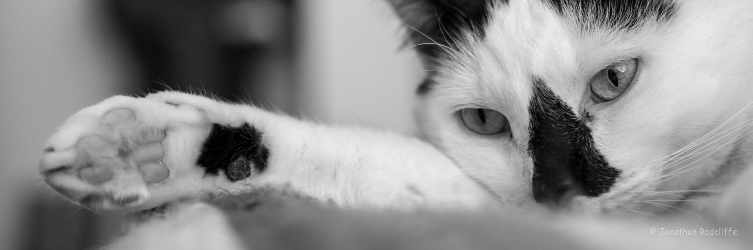 dadcliff3's profile banner image