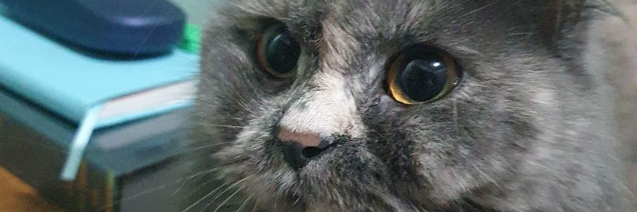 kathleencapule's profile banner image