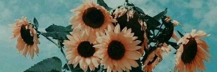 Selly__29's profile banner image