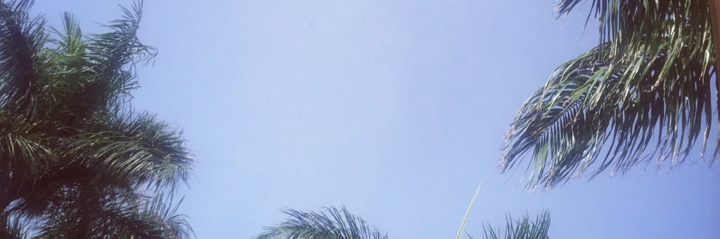 lou_makeup's profile banner image