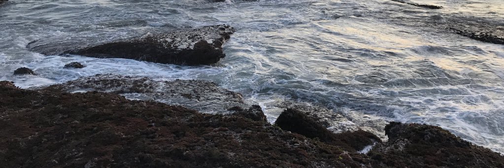 itsmebani_'s profile banner image