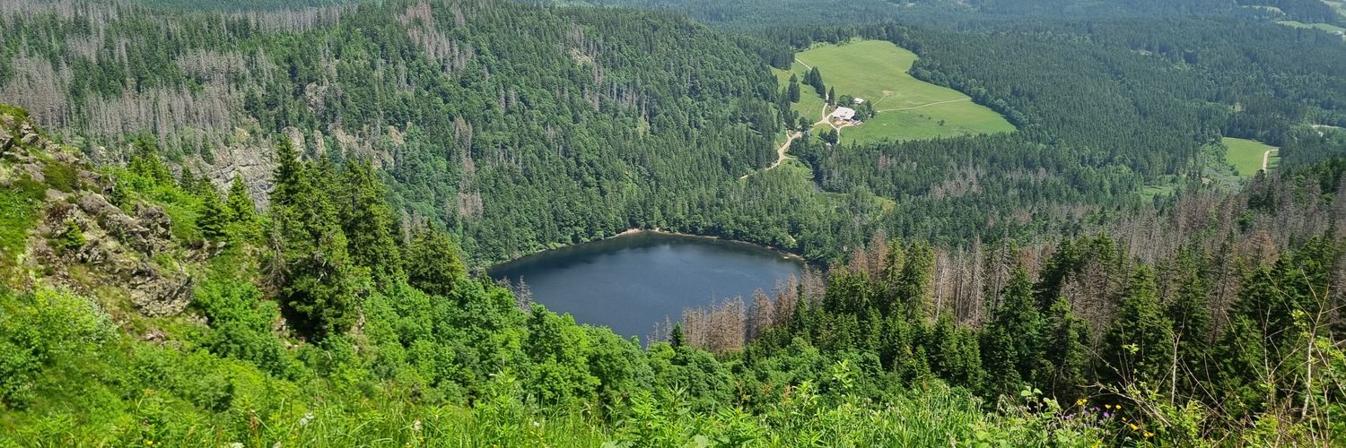 Mathew Bukhi Mabele banner