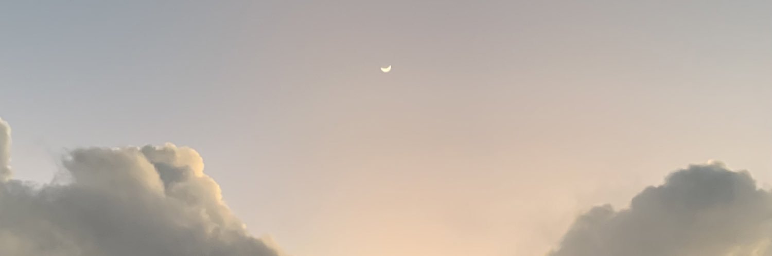 irisgailey's profile banner image