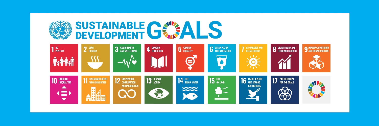 UNDP Rwanda's banner