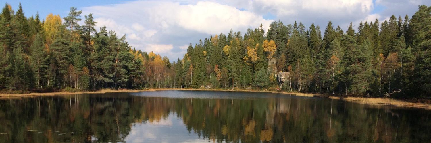 Roger Matberg banner