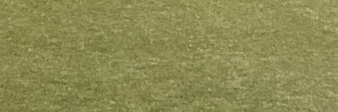 vilamola🍍 banner