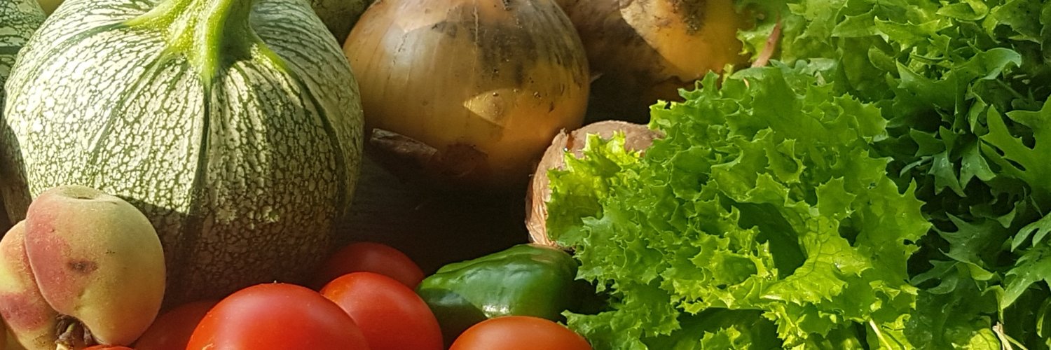 LIBouwman's profile banner image