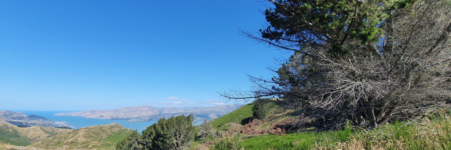 skywalkerNZ's profile banner image