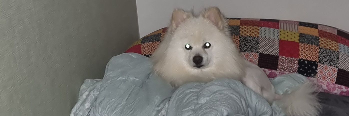 lonerkimm's profile banner image