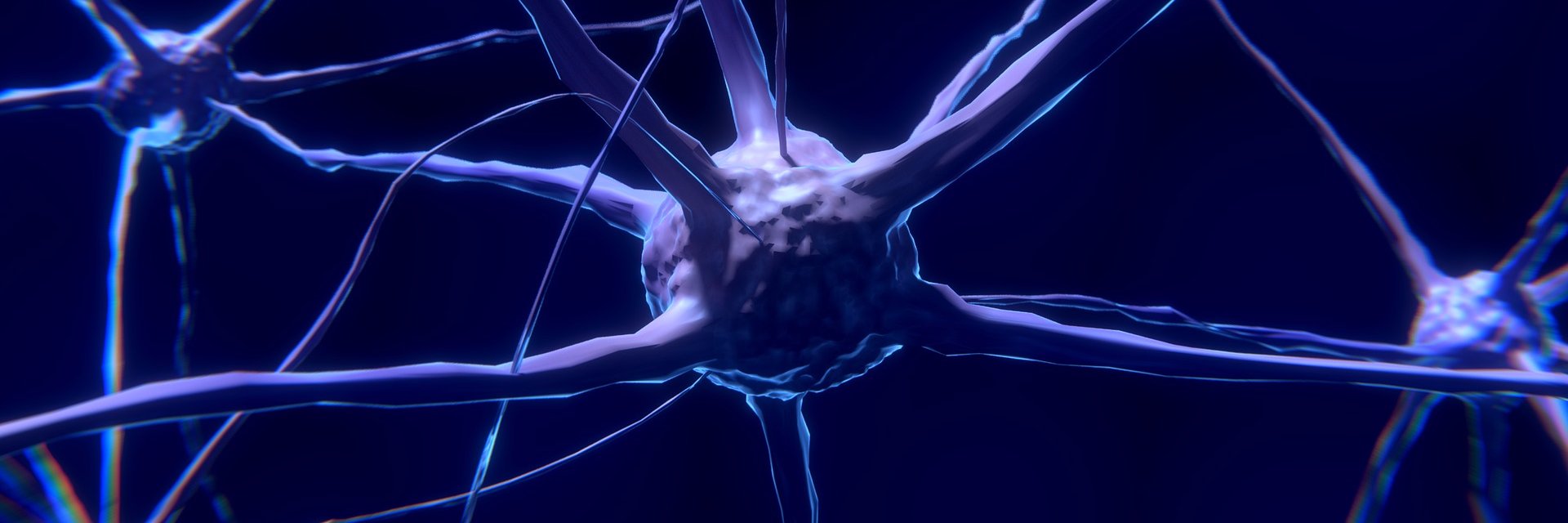 TWI - Neuroscience for business banner