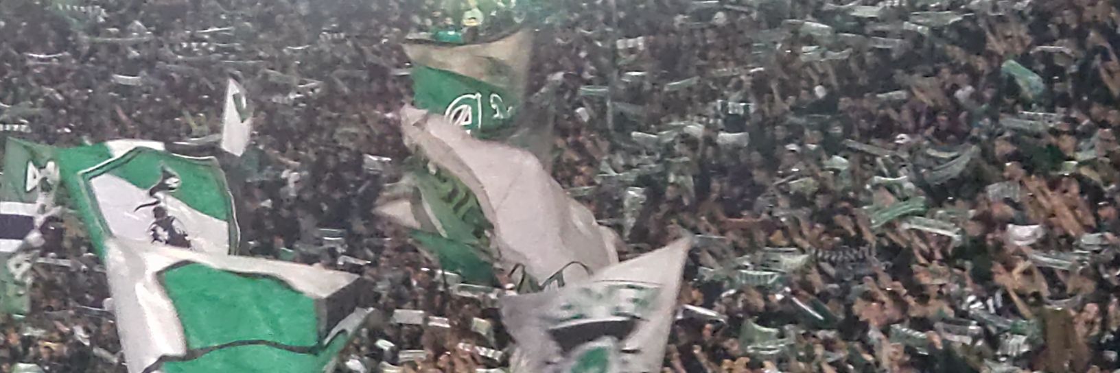 Crash☘️'s banner