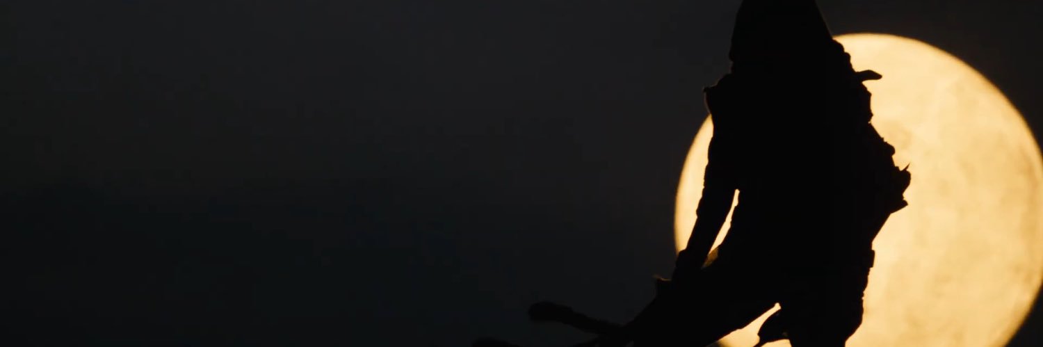 Maddie Rae Gun banner