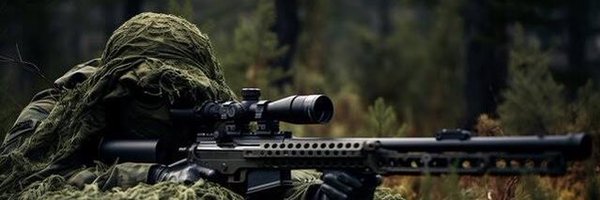 segigun Profile Banner