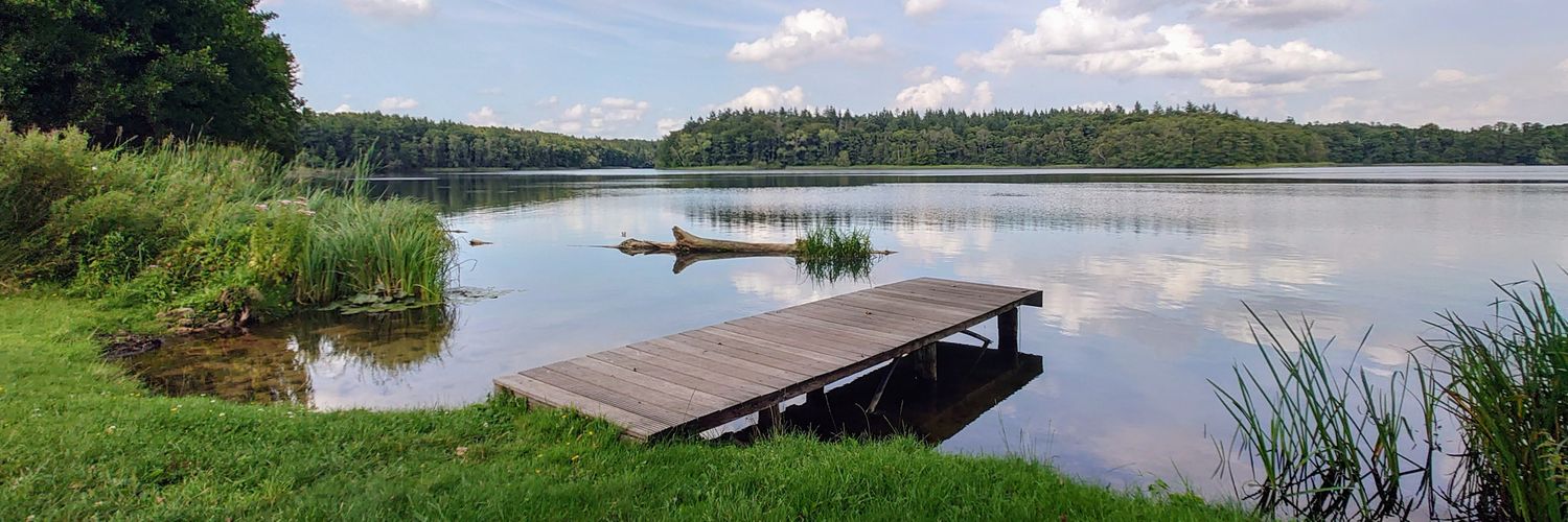 Andreas Dörich banner
