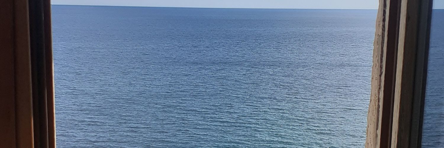 RosellaPre's profile banner image