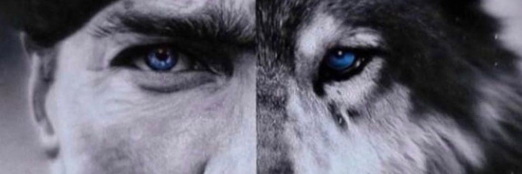 okur78okur's profile banner image