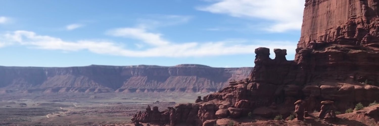lizzyschless's profile banner image