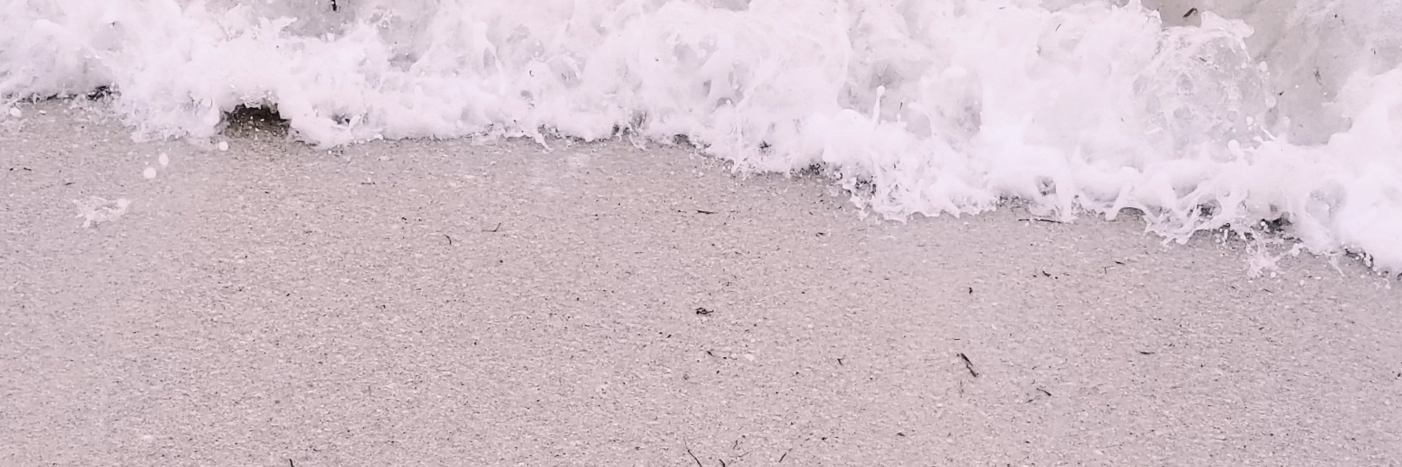 PeggyStrange's profile banner image