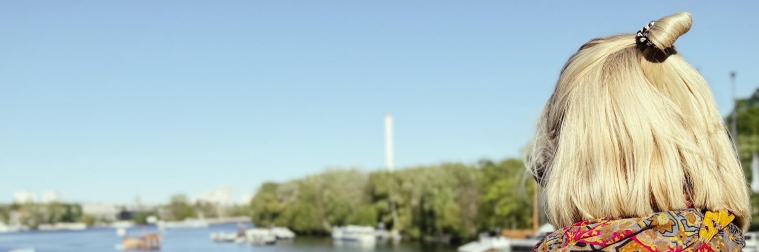 Riri_Discoking's profile banner image
