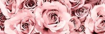 Amay3591's profile banner image