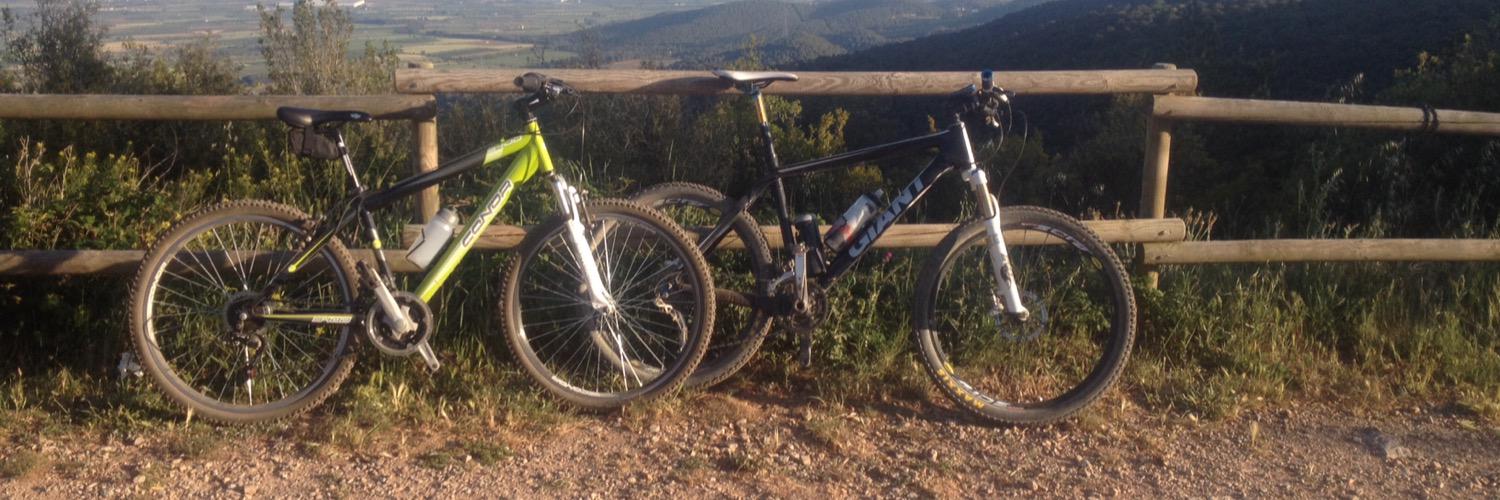 Pere Batalla Vila banner