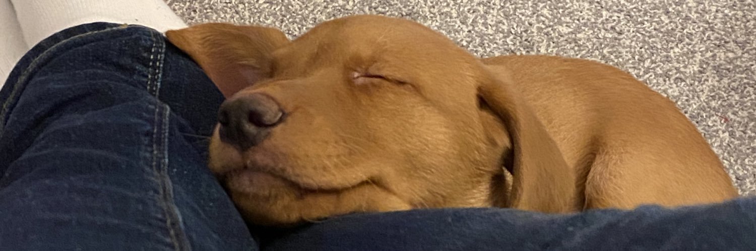 ScottMarnie's profile banner image