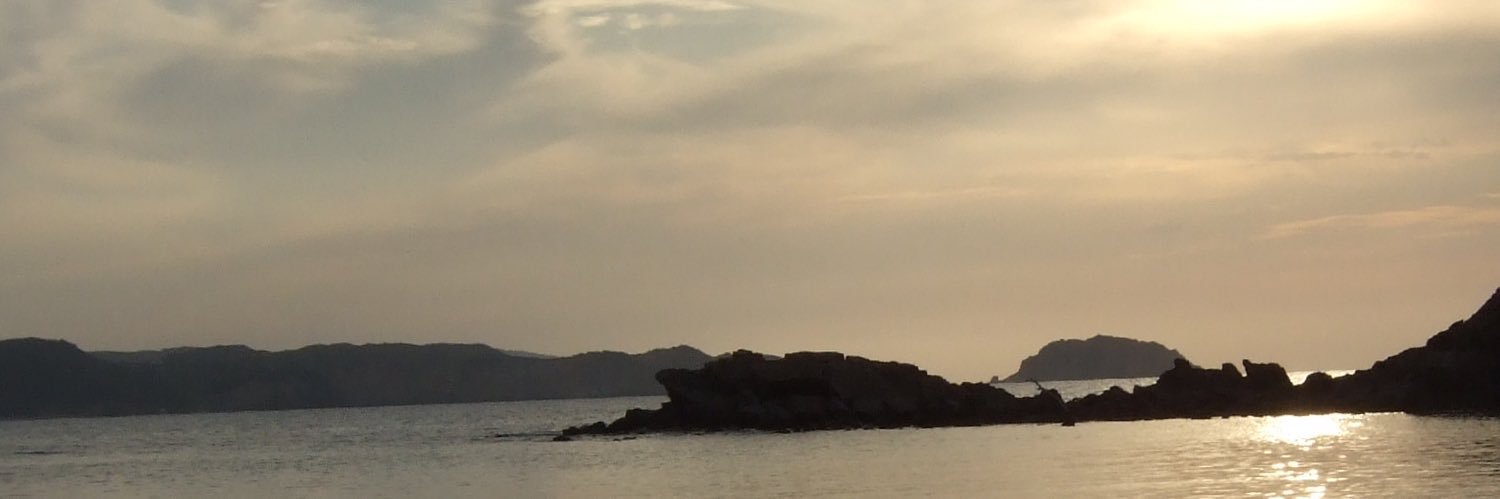 Tomàs Moix banner