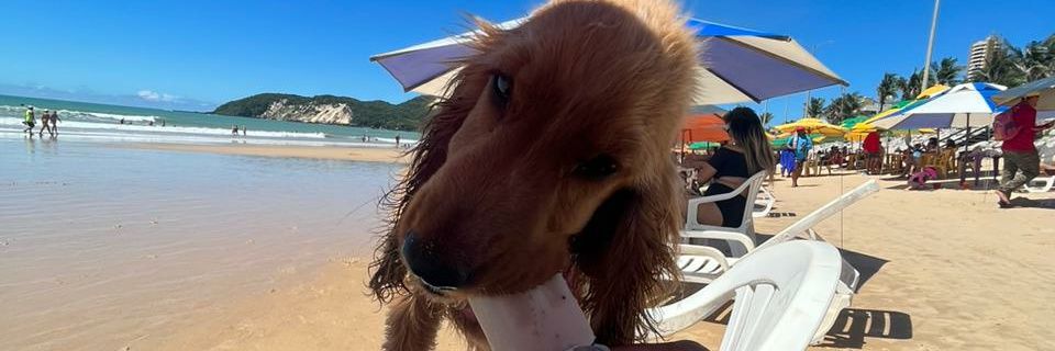 louiswatermelon's profile banner image