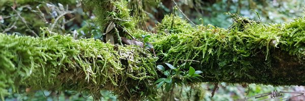 gravax Profile Banner