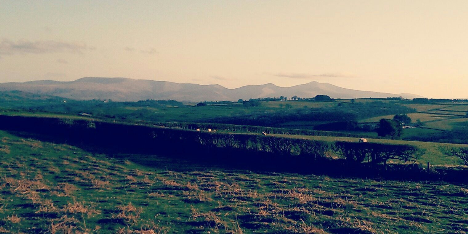 Rebecca Price banner